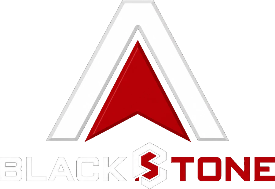 Black Stone Trading & Co logo